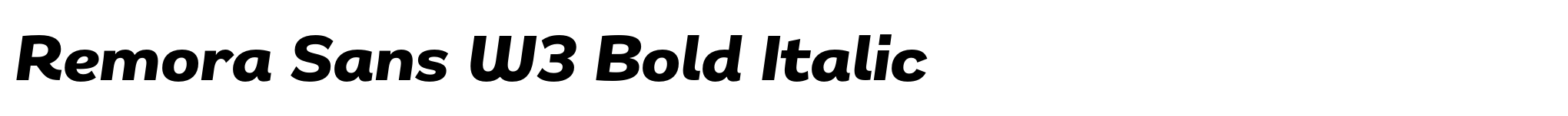Remora Sans W3 Bold Italic image
